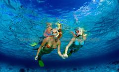 К чему снится плавать под водой: значение по соннику Сонник люди живут под водой